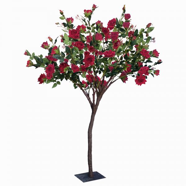 Rose Bush Tree 5ft Red