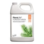Floralife ForEver Green, 1 gal