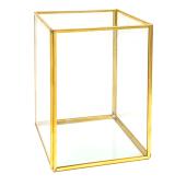 Rectangular Terrarium Display 8" - Gold