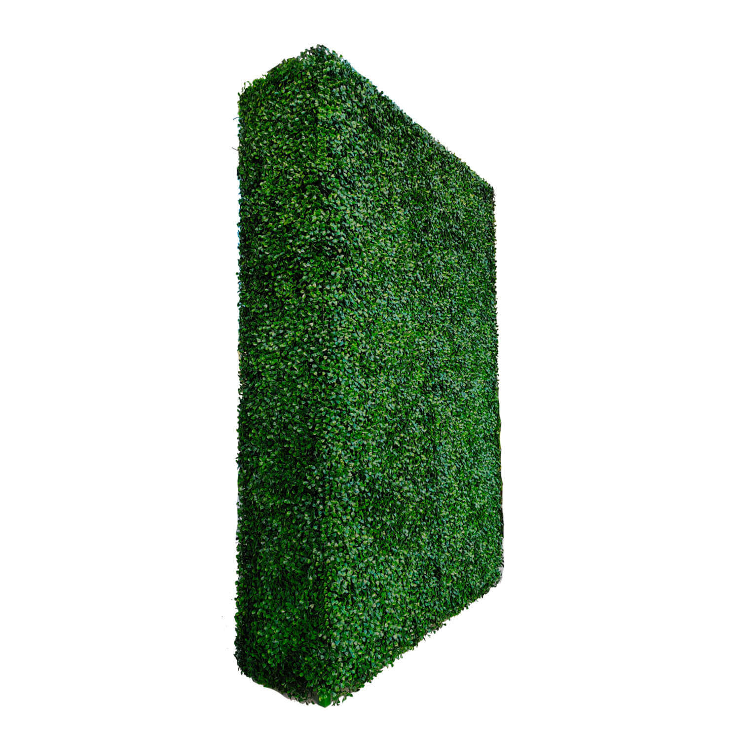 Artificial Hedge Wall Room Divider Boxwood 43 x 62