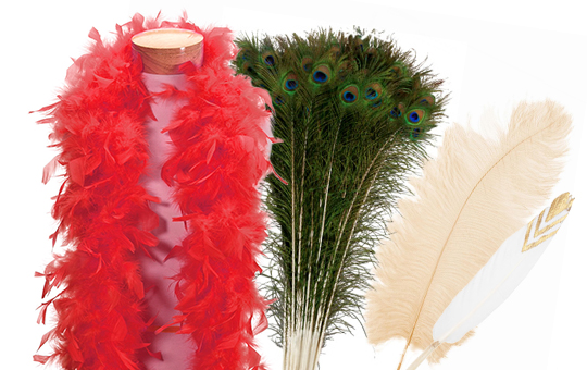 Feather Products