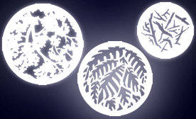 Foliage Breakup Gobos