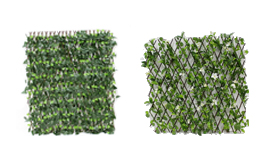 Expanding Lattice