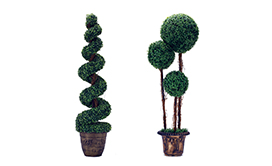 Greenery Plants & Balls