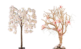 Trees & Branches