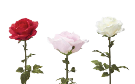 Jumbo Florals