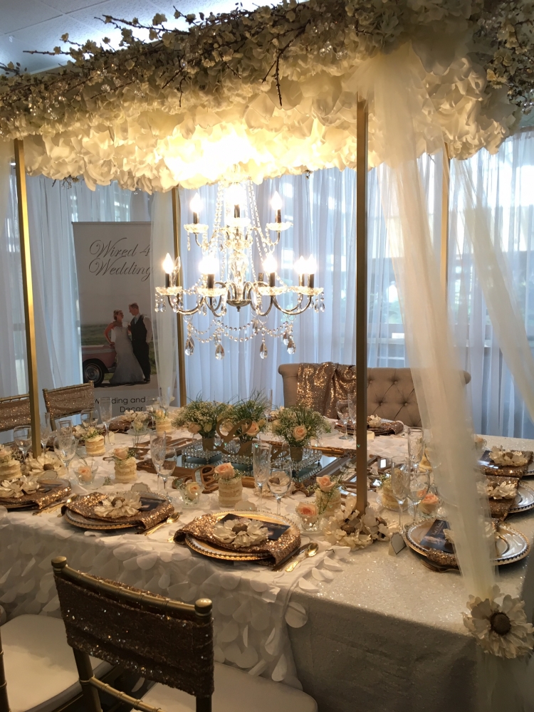 Customer Testimonials and Photos Event Decor Direct